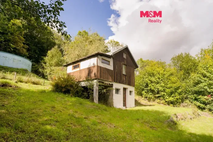 Prodej chaty, Stružnice - Bořetín, 489 m2