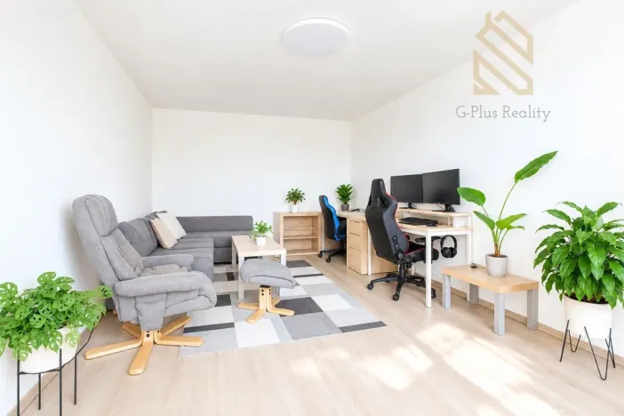 Prodej bytu 2+1, Ústí nad Labem - Střekov, Tolstého, 62 m2