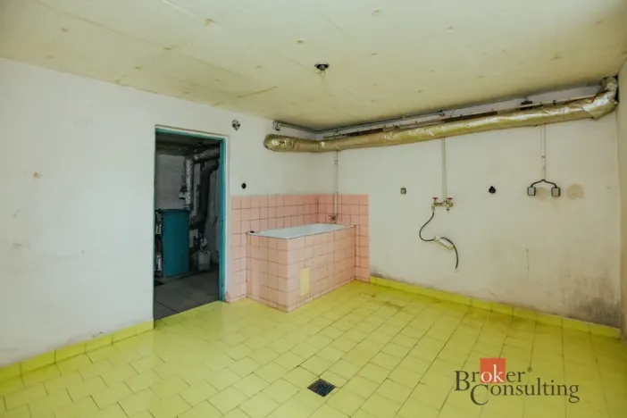 Prodej rodinného domu, Nový Bydžov, Havlíčkova, 90 m2