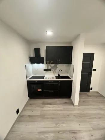 Pronájem bytu 1+kk, Ostrava, Čujkovova, 33 m2