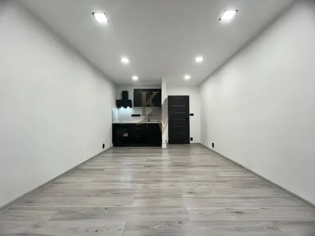 Pronájem bytu 1+kk, Ostrava, Čujkovova, 33 m2