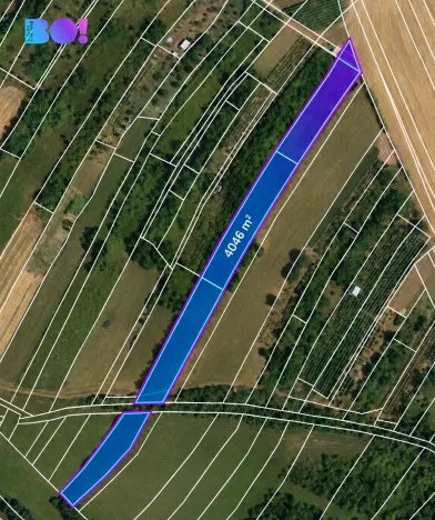Prodej pole, Dambořice, 4046 m2