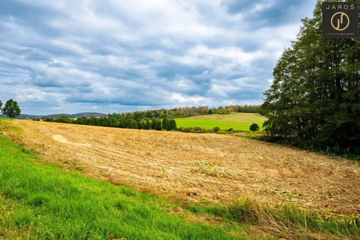 Prodej pozemku pro bydlení, Klatovy - Kydliny, 4431 m2