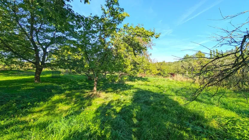 Prodej rodinného domu, Dobřenice, 216 m2
