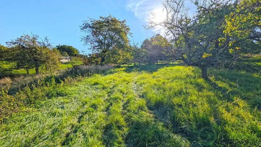 Prodej rodinného domu, Dobřenice, 216 m2