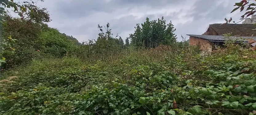 Prodej pozemku pro bydlení, Rabí, 1395 m2