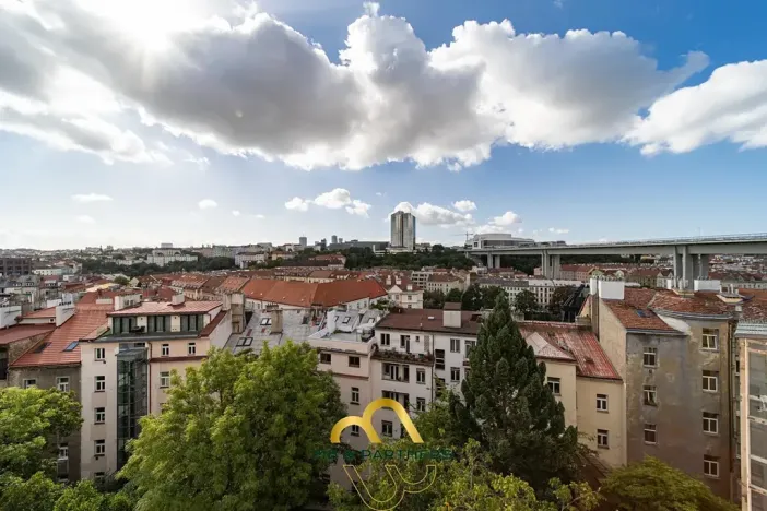 Pronájem bytu 3+kk, Praha - Vinohrady, Pod Karlovem, 85 m2