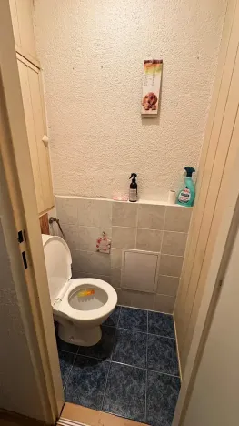 Pronájem bytu 2+1, Liberec, Třešňová, 50 m2