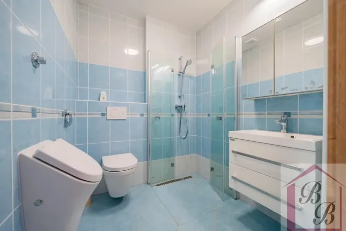 Prodej rodinného domu, Mladá Boleslav, 154 m2