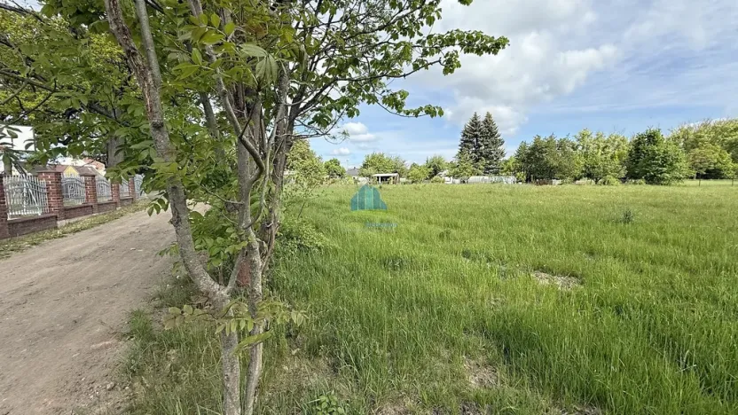 Prodej zahrady, Františkovy Lázně - Horní Lomany, Horní, 1146 m2