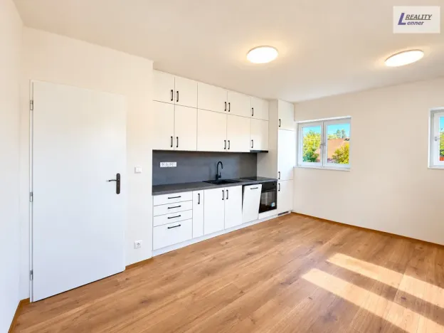 Prodej rodinného domu, Nečín, 500 m2