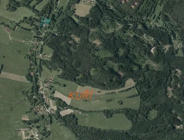 Prodej pozemku, Benešov nad Černou - Kuří, 3849 m2