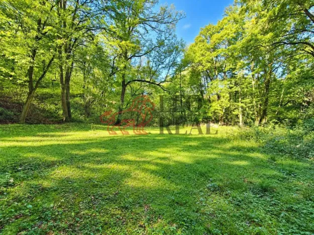 Prodej chaty, Ivančice - Budkovice, 30 m2