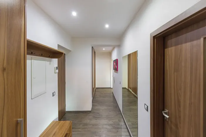 Prodej bytu 2+kk, Plzeň, U Velkého rybníka, 80 m2