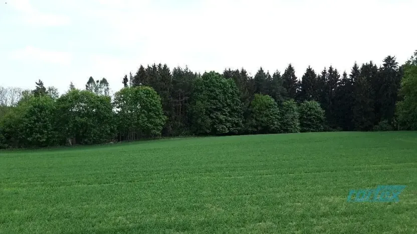 Prodej lesa, Zábřeh, 78836 m2