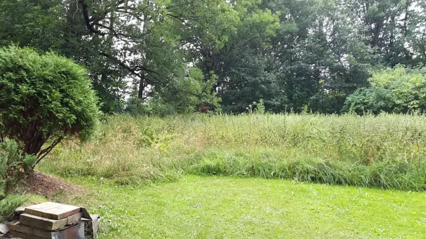 Prodej pozemku pro bydlení, Norberčany, 4958 m2