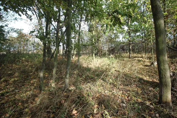 Prodej pozemku, Dolní Břežany, Keltská, 3508 m2