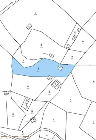 Prodej lesa, Strunkovice nad Volyňkou, 2510 m2