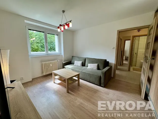 Pronájem bytu 1+1, Plzeň - Jižní Předměstí, Raisova, 30 m2