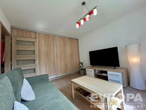 Pronájem bytu 1+1, Plzeň - Jižní Předměstí, Raisova, 30 m2