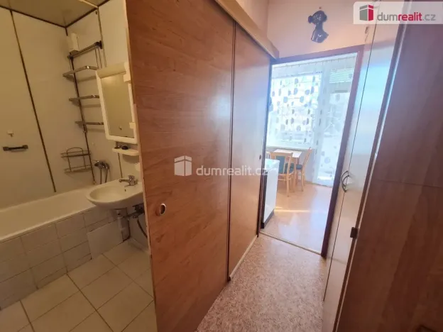 Prodej bytu 1+1, Roudnice nad Labem, Alej 17. listopadu, 27 m2