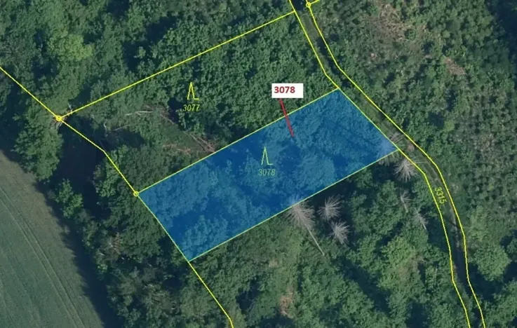 Dražba lesa, Benešov u Semil, 1110 m2