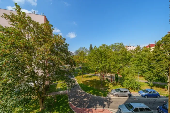 Pronájem bytu 2+1, Cheb, Matěje Kopeckého, 56 m2