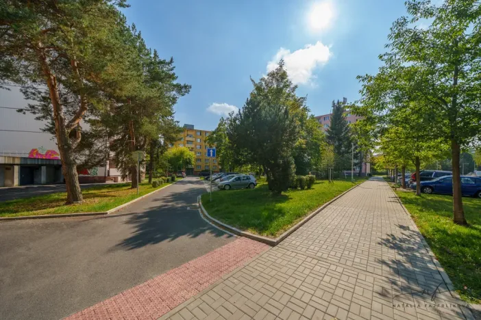Pronájem bytu 2+1, Cheb, Matěje Kopeckého, 56 m2