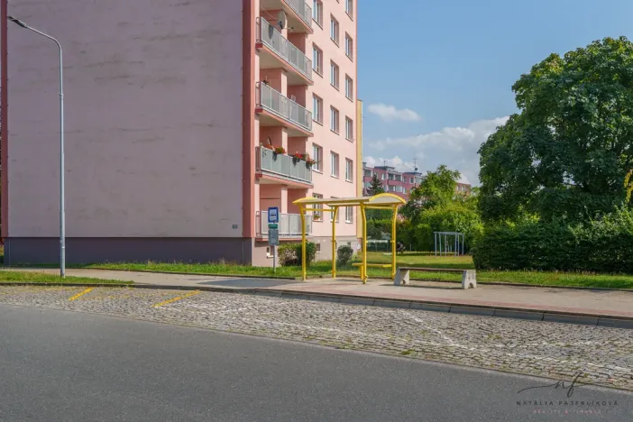 Pronájem bytu 2+1, Cheb, Matěje Kopeckého, 56 m2