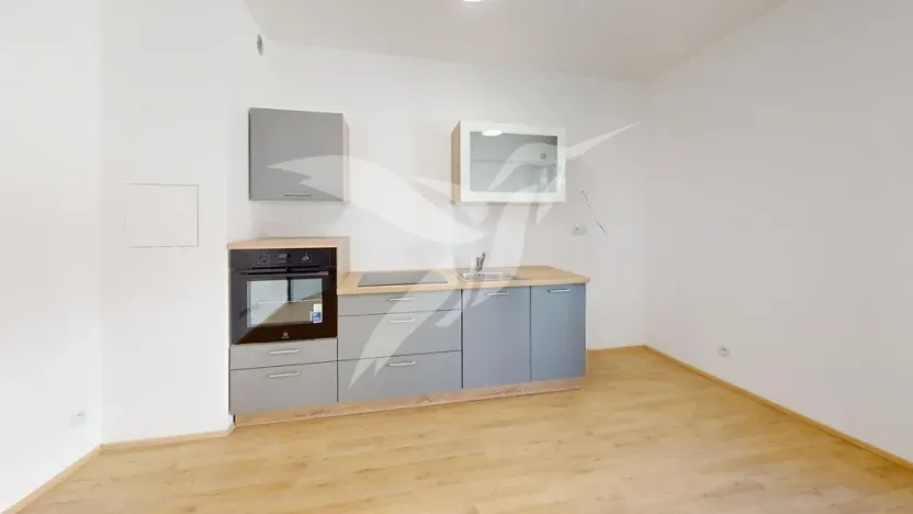 Pronájem bytu 1+kk, 30 m², Železná, Plzeň, Jižní Předměstí