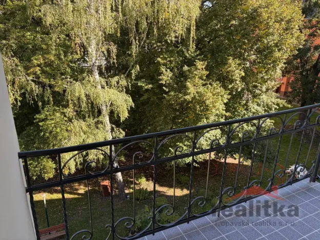 Prodej bytu 2+1, Opava - Předměstí, Lidická, 99 m2