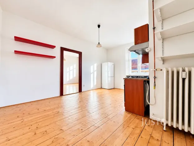 Prodej bytu 1+1, Ústí nad Labem - Klíše, Palachova, 47 m2