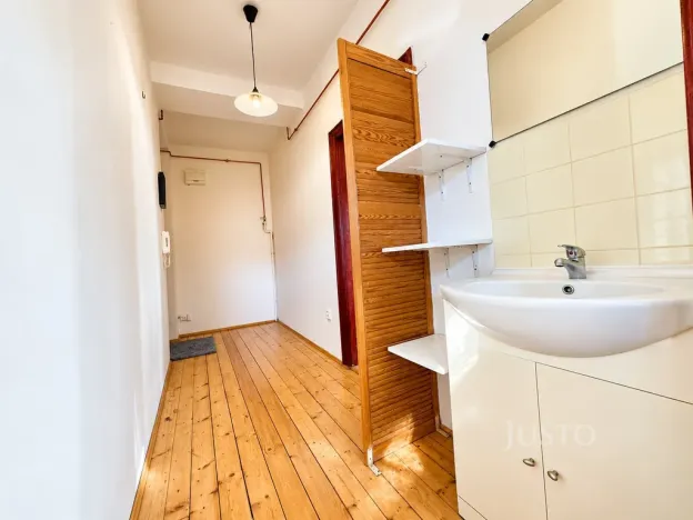Prodej bytu 1+1, Ústí nad Labem - Klíše, Palachova, 47 m2