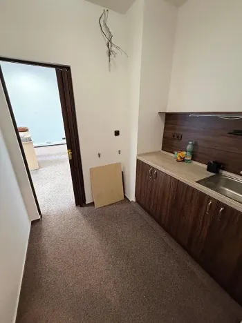 Prodej obchodního prostoru, Mladá Boleslav, Železná, 48 m2