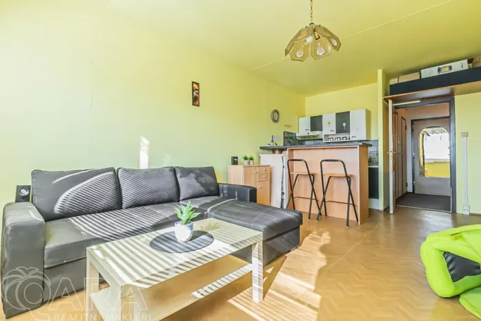 Prodej bytu 1+kk, Praha - Chodov, Klapálkova, 30 m2