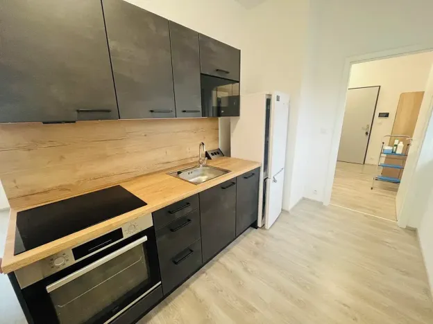 Pronájem bytu 1+kk, Lovosice, Zámecká, 60 m2