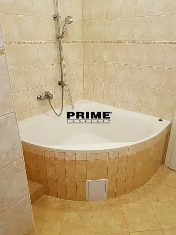 Pronájem bytu 3+kk, Praha - Nové Město, Záhořanského, 124 m2