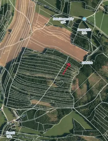 Prodej lesa, Strmilov, 1331 m2