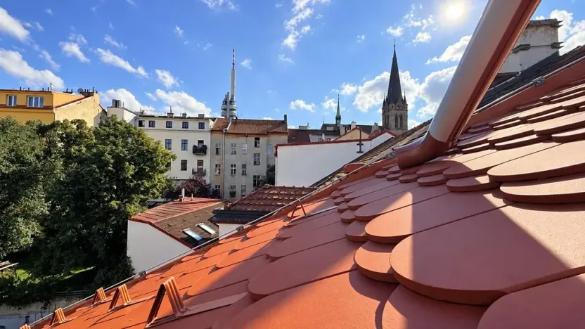 Prodej bytu 3+kk, Praha - Žižkov, Milíčova, 65 m2