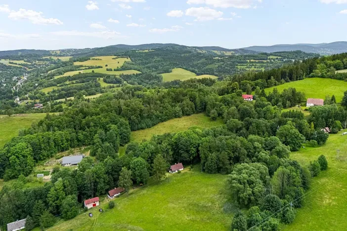 Prodej chalupy, Zlatá Olešnice, 112 m2