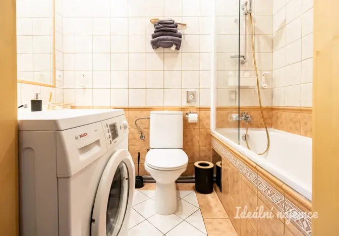 Pronájem bytu 1+kk, Praha - Nusle, Slavojova, 26 m2