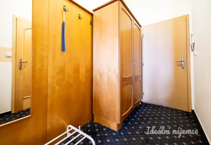 Pronájem bytu 1+kk, Praha - Nusle, Slavojova, 26 m2