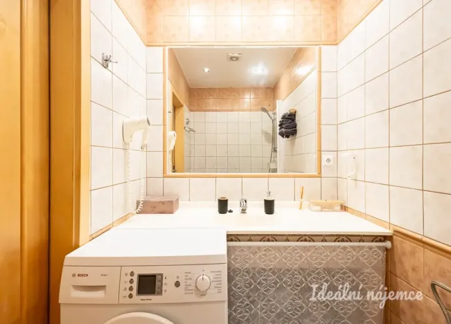 Pronájem bytu 1+kk, Praha - Nusle, Slavojova, 26 m2