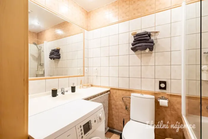 Pronájem bytu 1+kk, Praha - Nusle, Slavojova, 26 m2