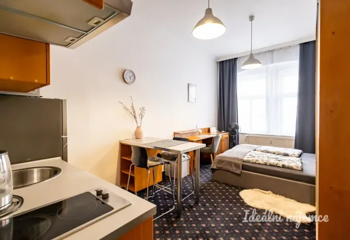 Pronájem bytu 1+kk, Praha - Nusle, Slavojova, 26 m2