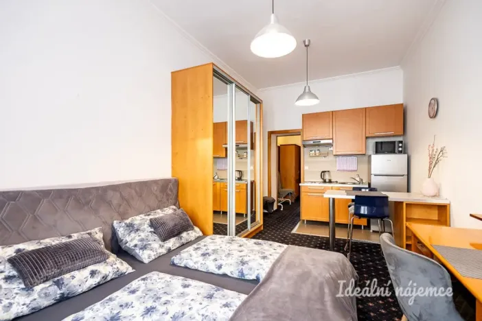 Pronájem bytu 1+kk, Praha - Nusle, Slavojova, 26 m2