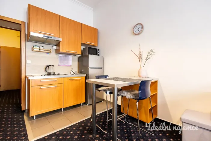 Pronájem bytu 1+kk, Praha - Nusle, Slavojova, 26 m2
