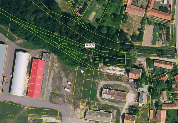 Dražba lesa, Horní Dunajovice, 13 m2