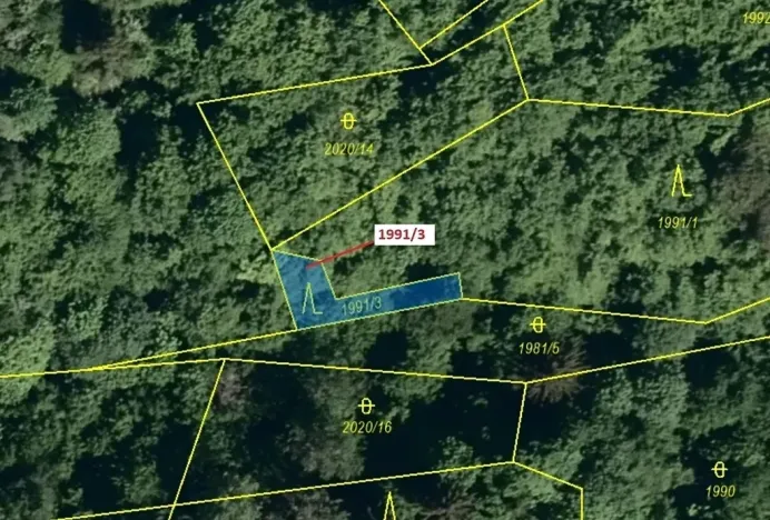 Dražba lesa, Hovězí, 115 m2