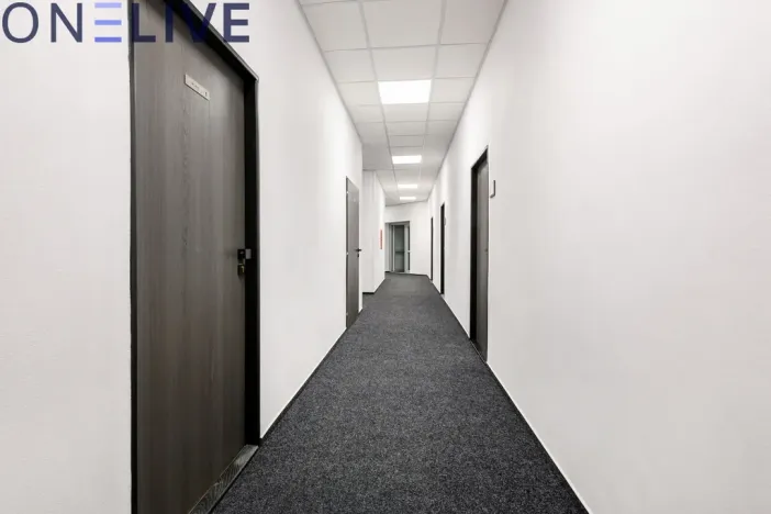 Pronájem kanceláře, Plzeň, Tylova, 17 m2